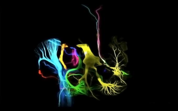 перетворення стовбурних клітин в нейрони